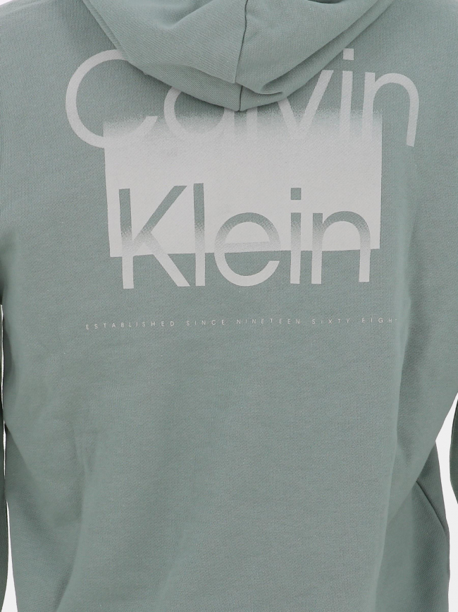 Sweat à capuche enlarged logo dos vert homme - Calvin Klein