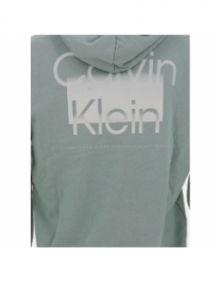 Sweat à capuche enlarged logo dos vert homme - Calvin Klein