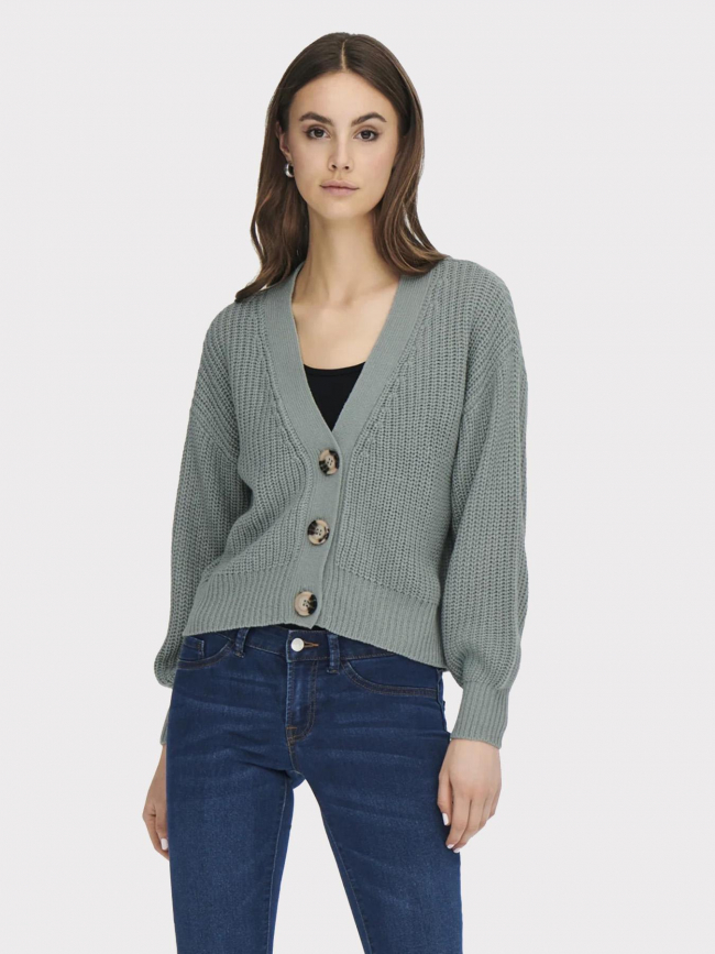 Gilet cardigan crop justy bleu femme - Jacqueline De Yong