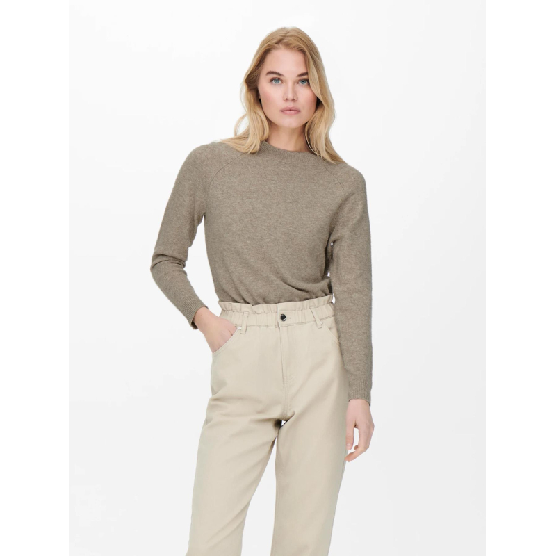 Pull rica life beige sable femme - Only