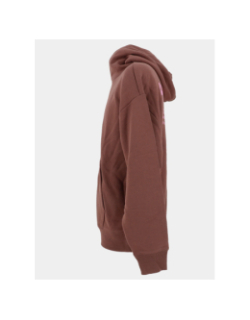 Sweat à capuche nazardo marron homme - Hugo