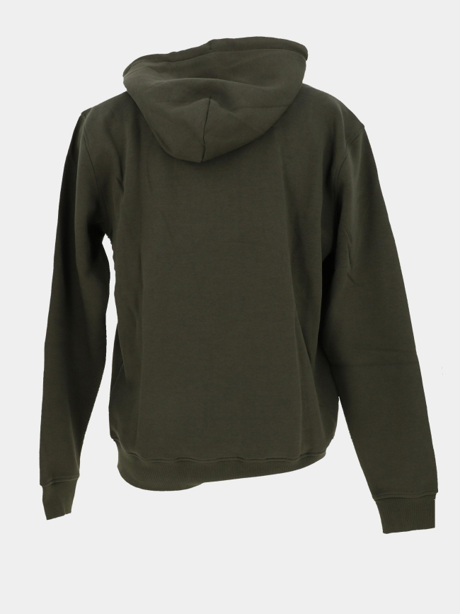 Sweat à capuche regular linear logo vert homme - Tommy Jeans