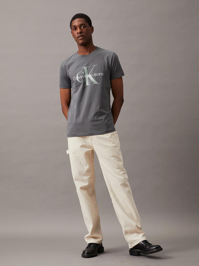 T-shirt seasonal monologo gris homme - Calvin Klein Jeans