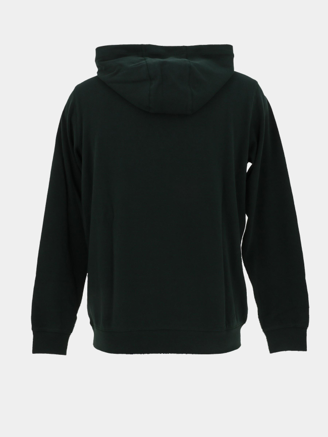 Sweat à capuche evry hoody vert garçon - Teddy Smith