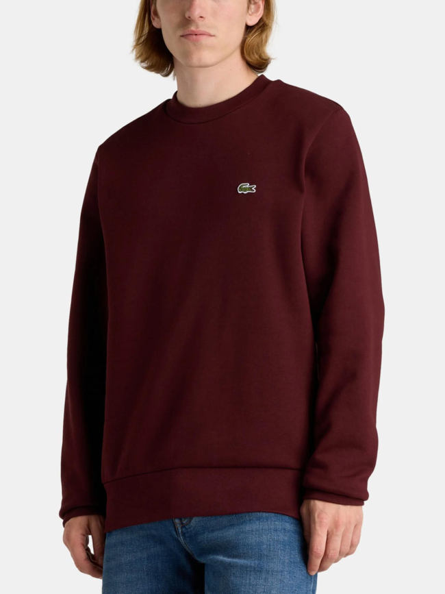 Sweatshirt uni logo bordeaux homme - Lacoste