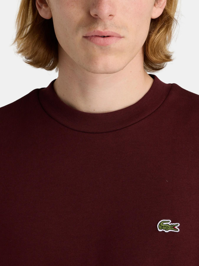 Sweatshirt uni logo bordeaux homme - Lacoste