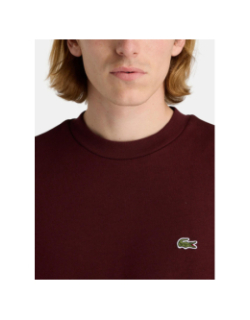 Sweatshirt uni logo bordeaux homme - Lacoste