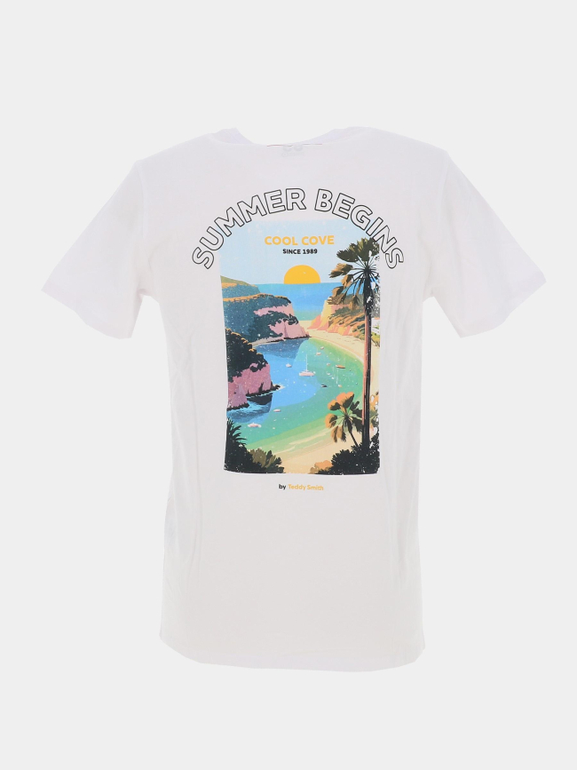 T-shirt azur blanc homme - Teddy Smith