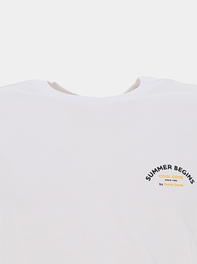 T-shirt azur blanc homme - Teddy Smith