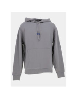 Sweat à capuche nalonso gris homme - Hugo