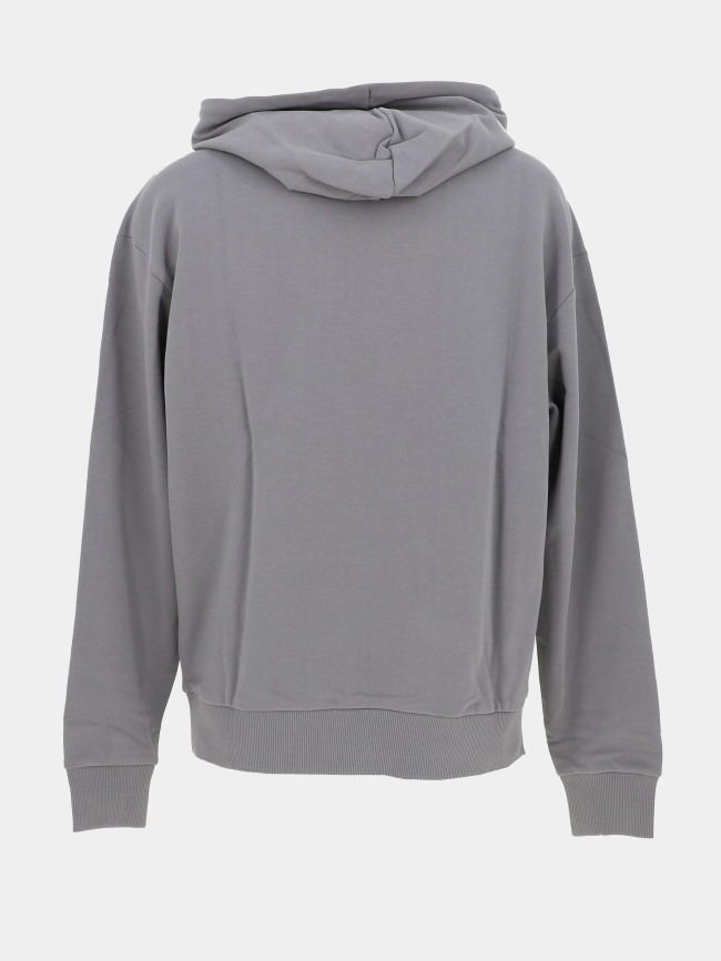 Sweat à capuche nalonso gris homme - Hugo