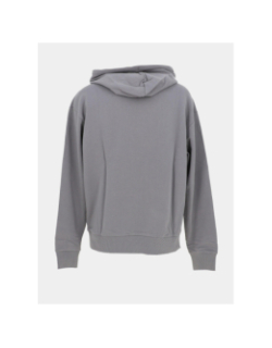Sweat à capuche nalonso gris homme - Hugo