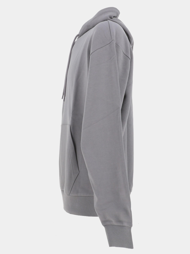 Sweat à capuche nalonso gris homme - Hugo
