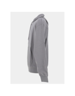 Sweat à capuche nalonso gris homme - Hugo