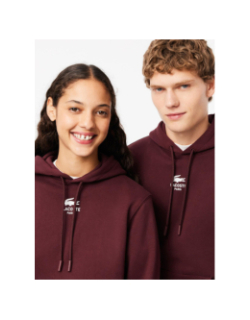 Sweat à capuche logo au dos bordeaux - Lacoste