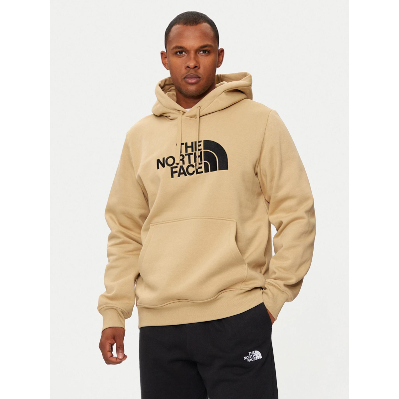 Sweat à capuche drew peak kaki homme - The North Face