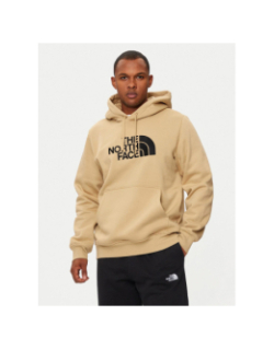 Sweat à capuche drew peak kaki homme - The North Face