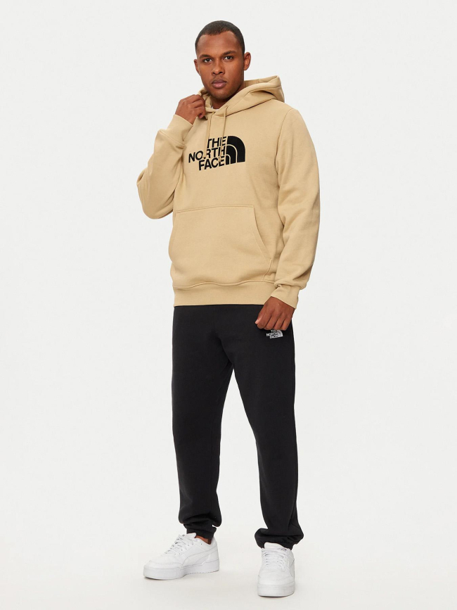 Sweat à capuche drew peak kaki homme - The North Face