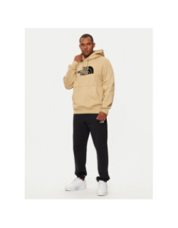Sweat à capuche drew peak kaki homme - The North Face