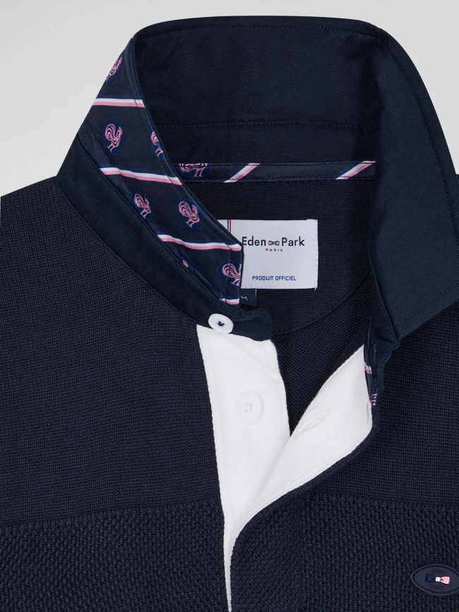 Pull col polo en coton audace bleu marine homme - Eden Park