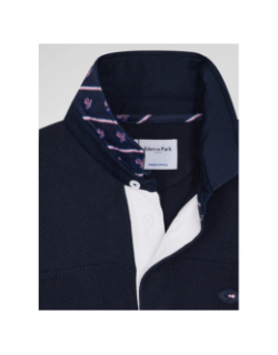 Pull col polo en coton audace bleu marine homme - Eden Park
