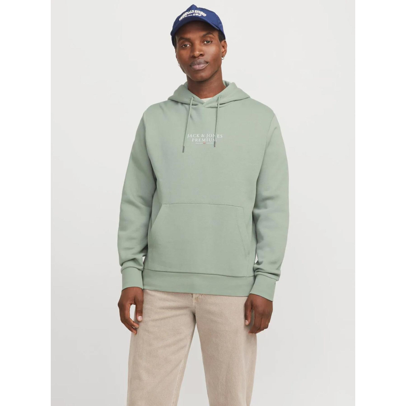 Sweat à capuche bluarchie iceberg vert homme - Jack & Jones