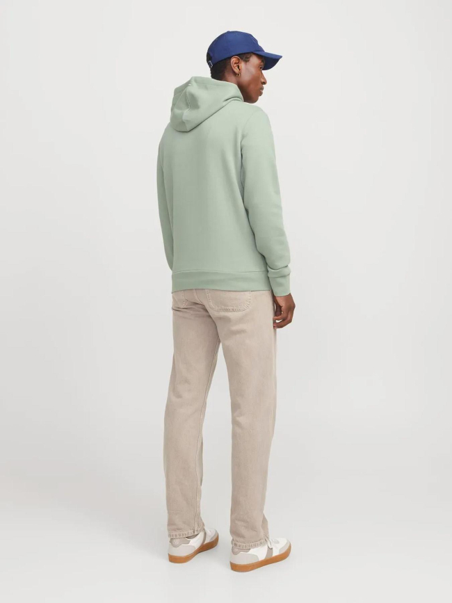 Sweat à capuche bluarchie iceberg vert homme - Jack & Jones
