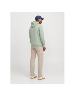 Sweat à capuche bluarchie iceberg vert homme - Jack & Jones
