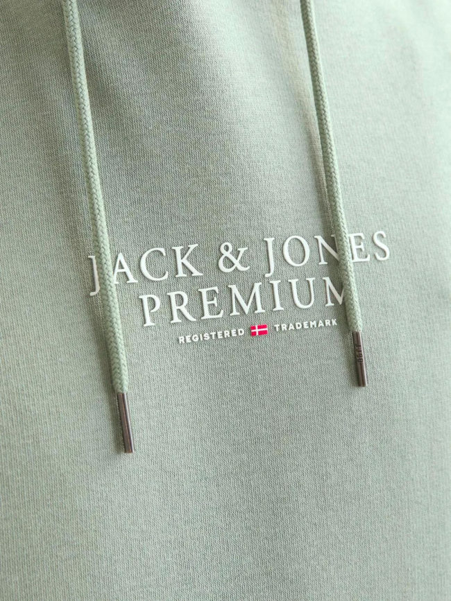 Sweat à capuche bluarchie iceberg vert homme - Jack & Jones