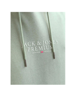 Sweat à capuche bluarchie iceberg vert homme - Jack & Jones
