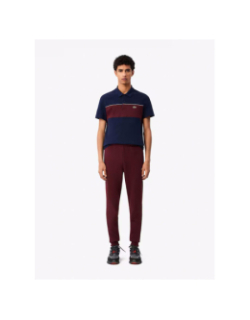 Pantalon de jogging core solid bordeaux homme - Lacoste