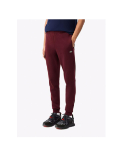 Pantalon de jogging core solid bordeaux homme - Lacoste