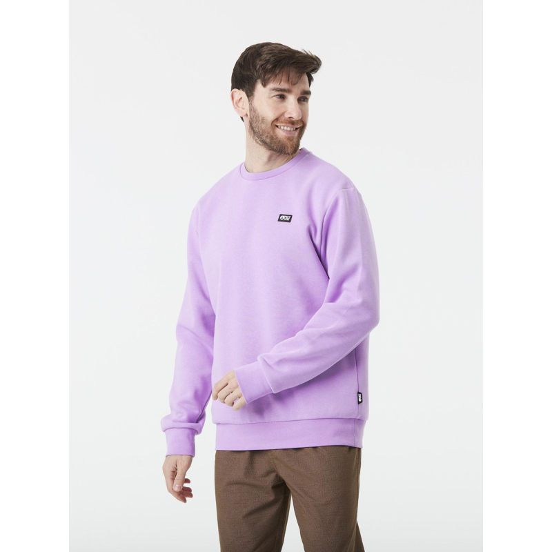 Pull à col ras du cou essential crew violet homme - Picture