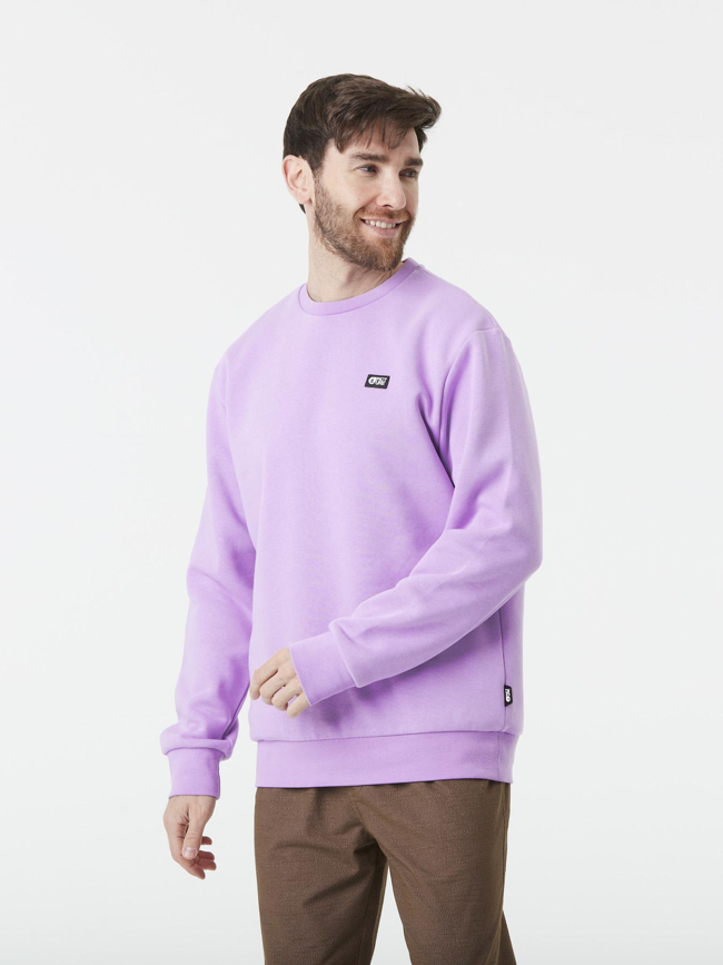 Pull à col ras du cou essential crew violet homme - Picture