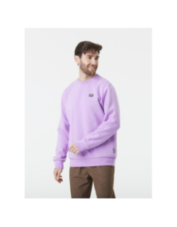 Pull à col ras du cou essential crew violet homme - Picture
