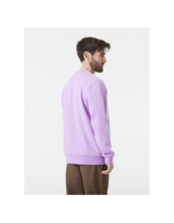 Pull à col ras du cou essential crew violet homme - Picture