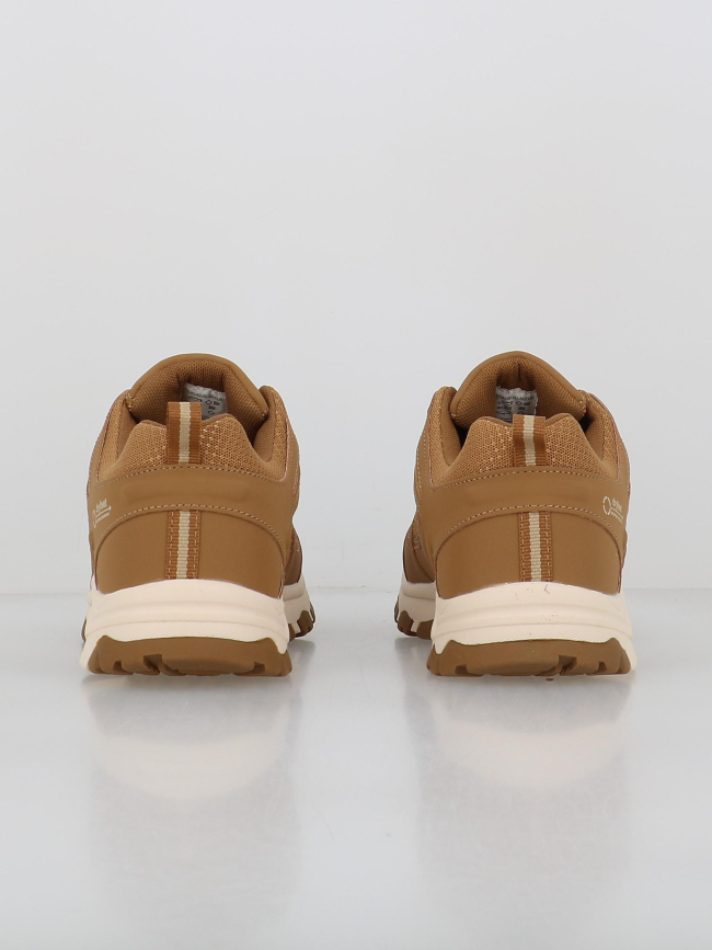 Chaussures de randonnée dryfeet marron femme - Elementerre