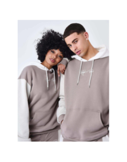 Sweat à capuche colorblock marron homme - Project X Paris