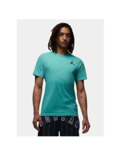 T-shirt jumpman jordan logo brodé bleu homme - Nike