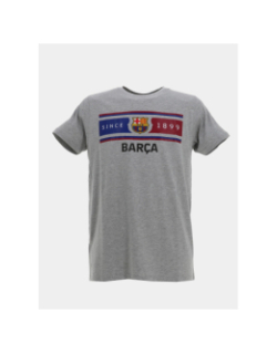 T-shirt à manches courtes fc barcelone gris homme - Holiprom