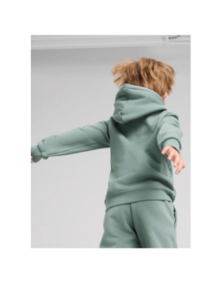 Sweat à capuche essentials no.1 logo vert enfant - Puma