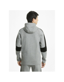 Sweat à capuche zippé evostripe core gris homme - Puma