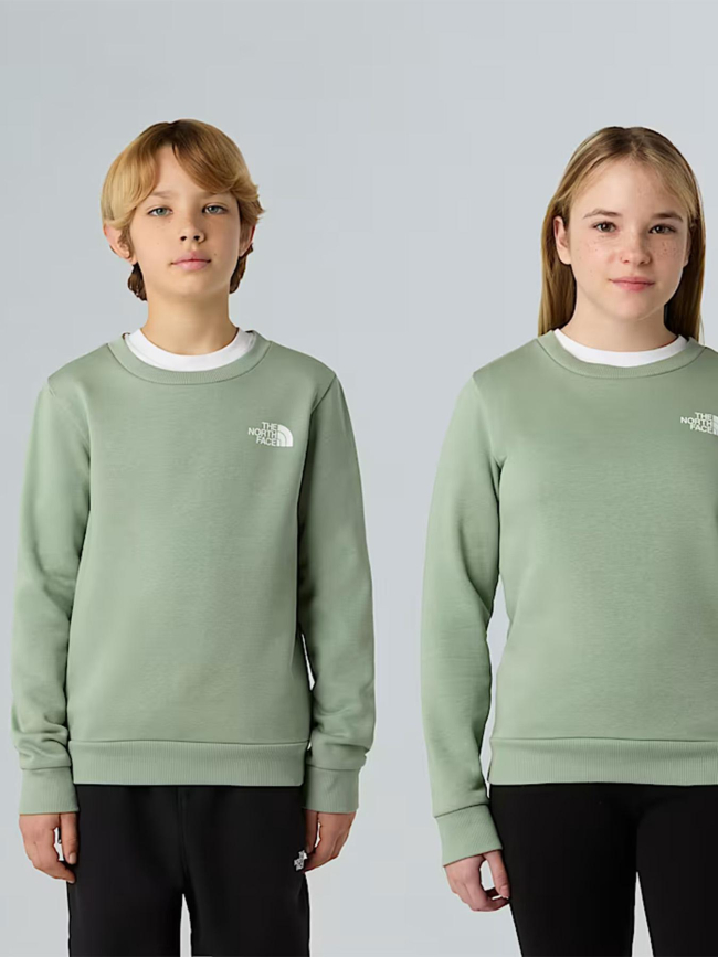 Sweat à col rond simple dome vert enfant - The North Face