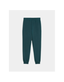 Pantalon jogging ess 2 color no.1 logo vert enfant - Puma