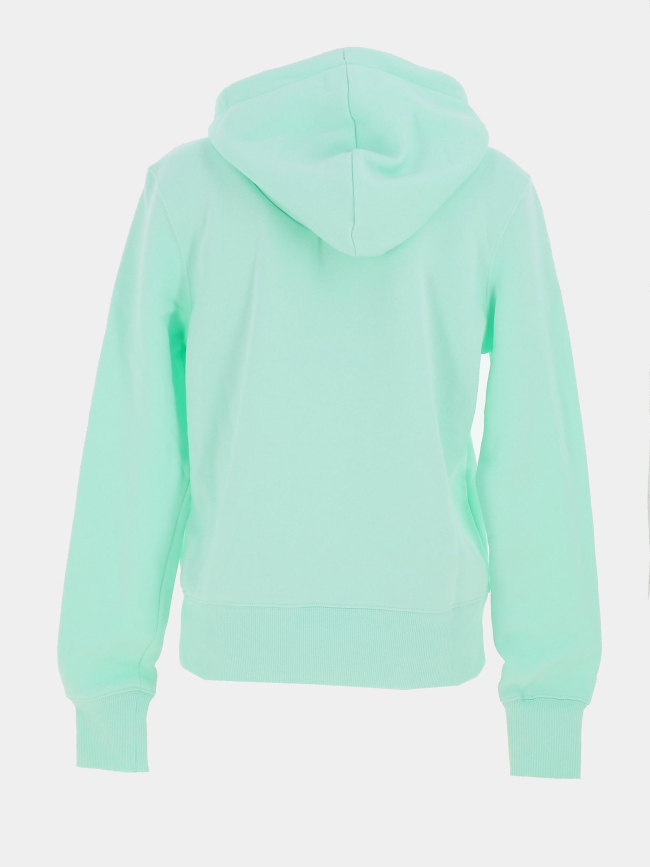 Sweat à capuche phoenix fleece vert d'eau femme - Nike