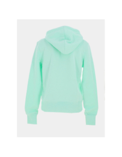 Sweat à capuche phoenix fleece vert d'eau femme - Nike