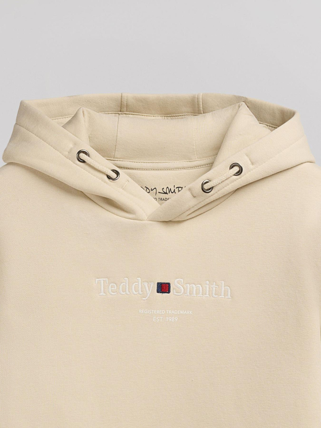 Sweat à capuche s-jim beige homme - Teddy Smith