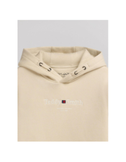 Sweat à capuche s-jim beige homme - Teddy Smith