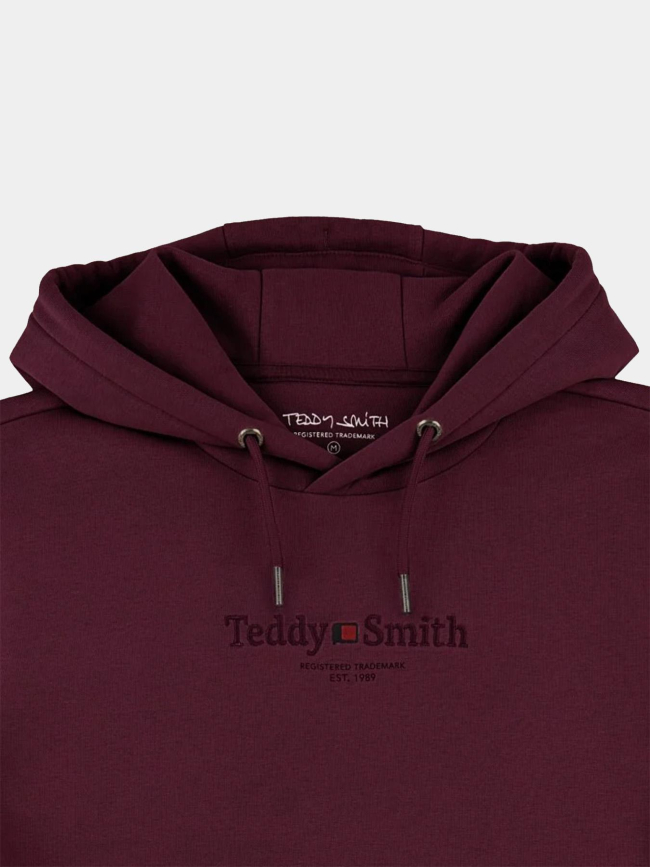 Sweat à capuche s-jim bordeaux homme - Teddy Smith