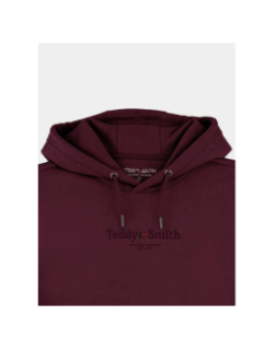 Sweat à capuche s-jim bordeaux homme - Teddy Smith